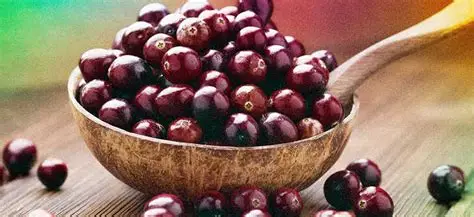 Açaí is a versatile fruit that represents a bridge between the ancient traditions of the Amazon and the dynamic, health-conscious culture of modern Brazil.